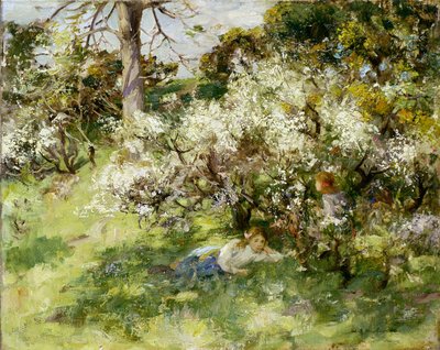 Flor de Endrino de William Stewart MacGeorge